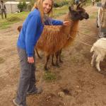Feria di Guantalo' - Ele e i lama